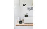 Beatrice Bathroom Tray Pencil Storage 07 (web)